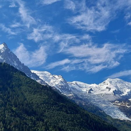 Le Petit Balcon Avec Vue Sur Le Mont-Blanc 2 Etoiles Apartment Chamonix Exterior foto