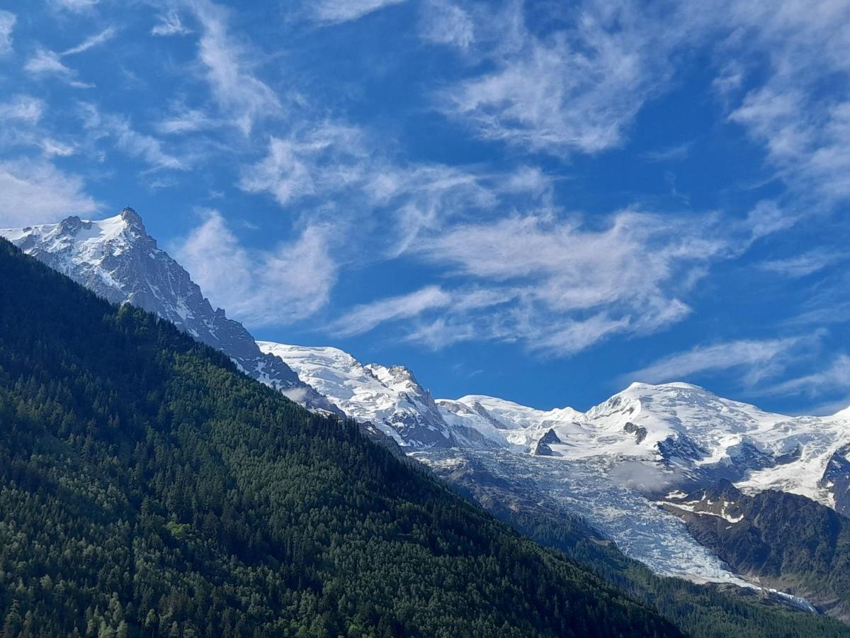 Le Petit Balcon Avec Vue Sur Le Mont-Blanc 2 Etoiles Apartment Chamonix Exterior foto